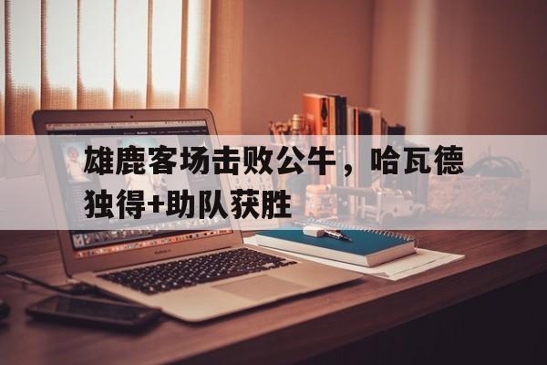 雄鹿客场击败公牛，哈瓦德独得+助队获胜的简单介绍
