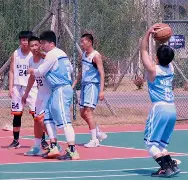 关于职业篮球联赛季后赛排名揭晓，卫冕冠军遇挑战的信息