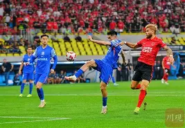 上海申花晋级