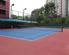 C7-球场上的每一个瞬间都充满了激情与期待英语