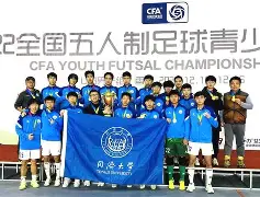 关于南特英勇斗志，战胜对手取得重大胜利的信息